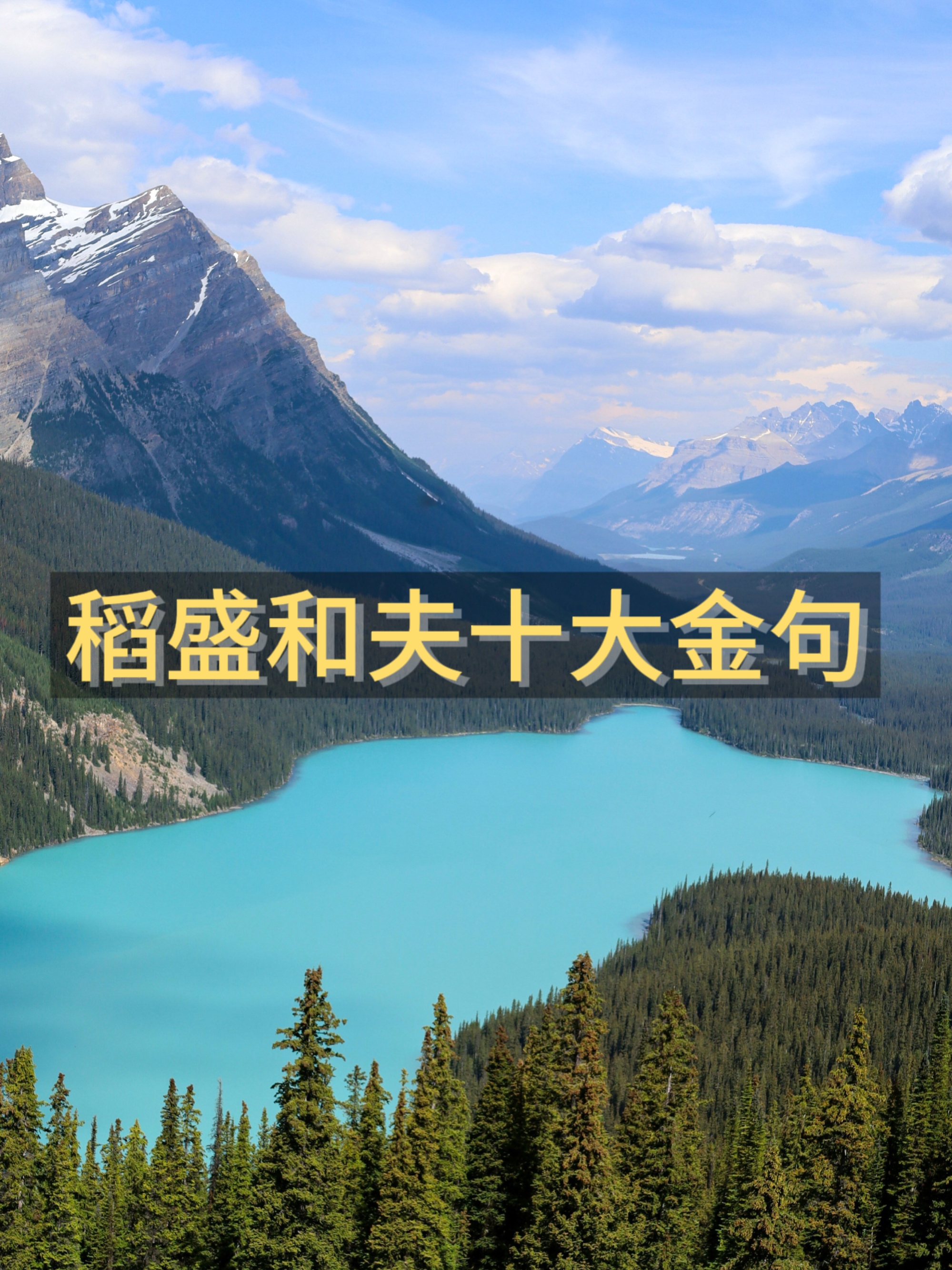 关于太阳应寻找对他们最好的交易尽管在和KD合作找交易伙伴的信息